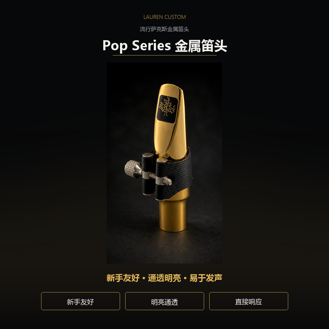劳伦 Pop Series 金属笛头产品图